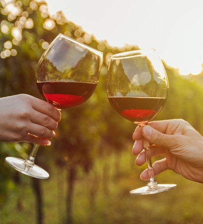 To personer skåler i rødvin uten i vinmark.