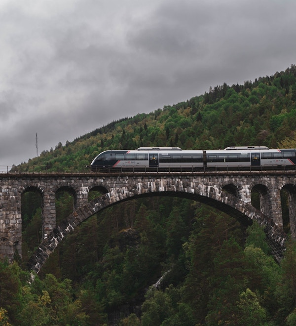 et tog på en bro foran et trekledd fjell
