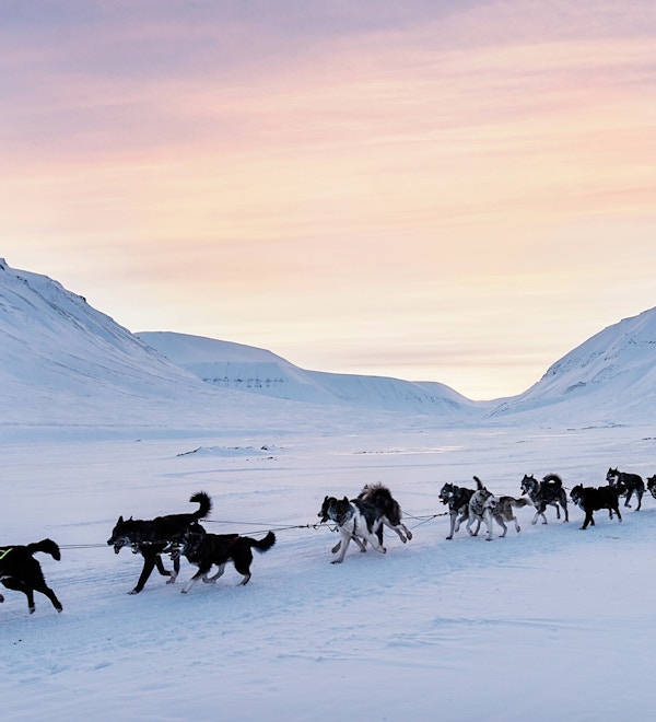 Hundespannstur på på Svalbard