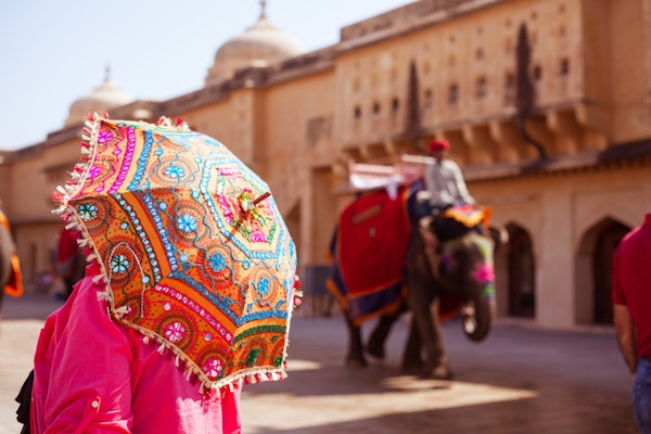 Baksikt, av, kvinne, avholdelse, fargerik, parasoll, amber fort, Jaipur, India. Indiske elefanter som går i bakgrunnen.