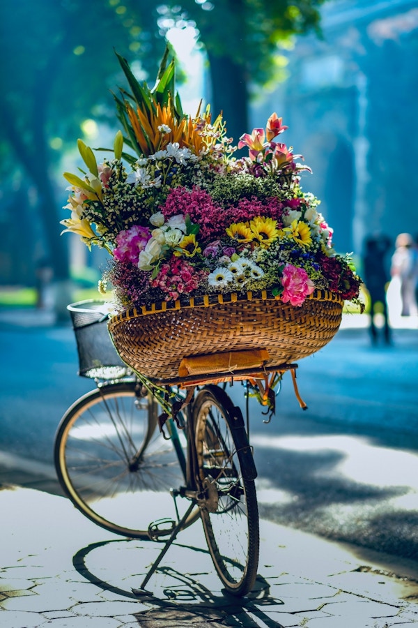 Blomstrende sykkel i Vietnam.