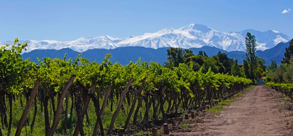 Nydelige rammer rundt vingårdene i Mendoza.