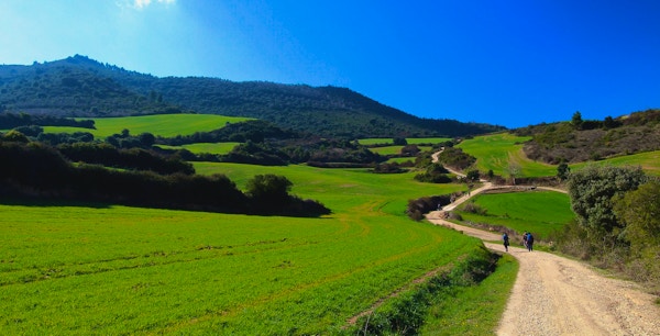 Pilegrimer som går i  solen, Camino de Santiago, Navarra, Spania.