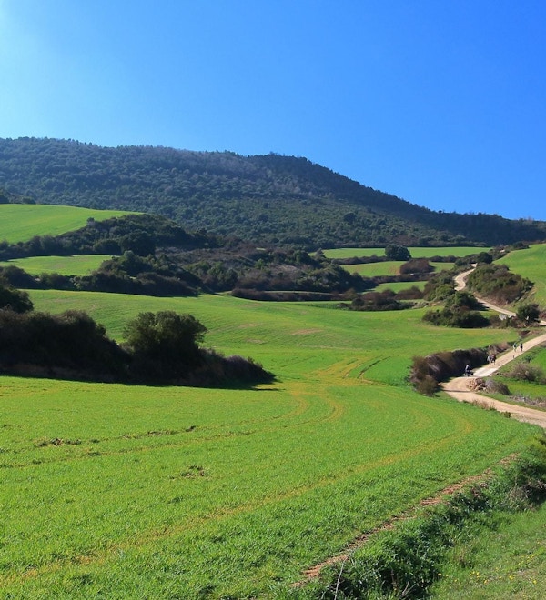 Pilegrimer som går i  solen, Camino de Santiago, Navarra, Spania.