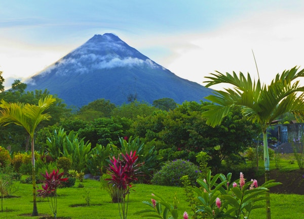 En frodig hage i La Fortuna, Costa Rica med Arenal Volcano i bakgrunnen.