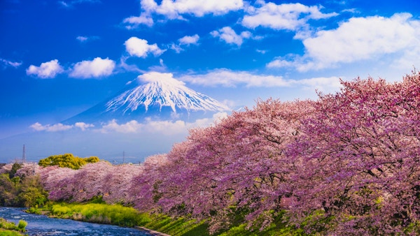 Mt. Fuji, Japan og elven om våren.