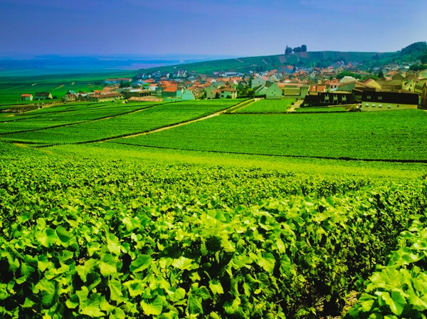 utsikt over champagne-vingårder som sleper byen Épernay, Champagne-regionen, Frankrike