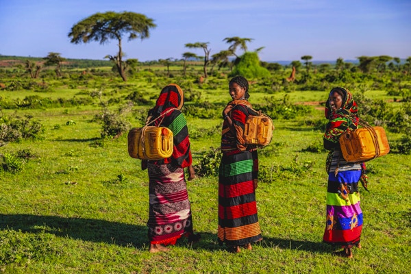 Unge afrikanske kvinner fra Borana-stammen som fører vann til landsbyen, afrikanske kvinner og barn går ofte lange avstander for å bringe tilbake kanner med vann som de bærer på ryggen.