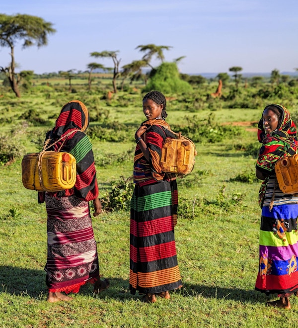 Unge afrikanske kvinner fra Borana-stammen som fører vann til landsbyen, afrikanske kvinner og barn går ofte lange avstander for å bringe tilbake kanner med vann som de bærer på ryggen.