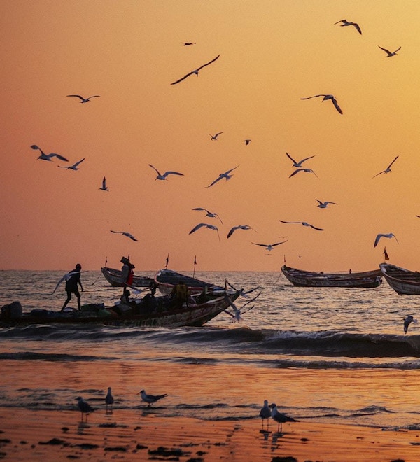 Vest-afrikanske fiskebåter i solnedgangslys.