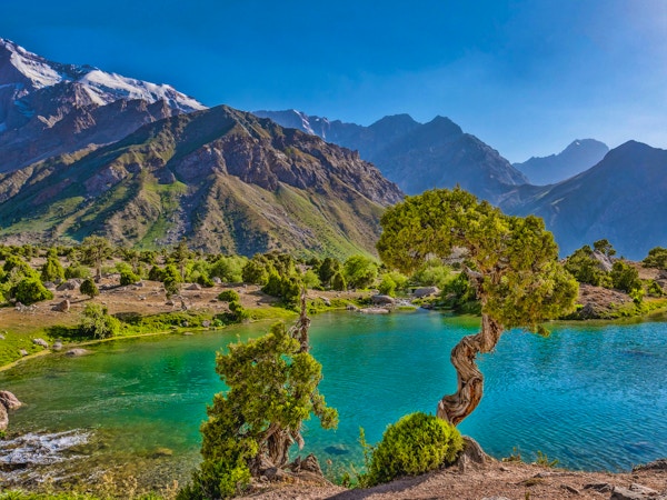 Fjellvann med turkis vann og einer i solskinn på en svaberg. Fann Mountains, Tadsjikistan, Sentral-Asia