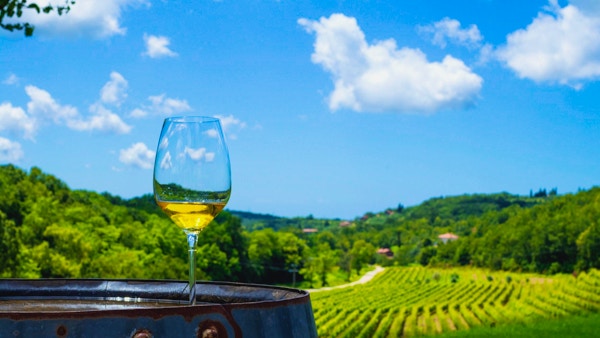 Et glass hvitvin på en vingård i Istria, Kroatia.