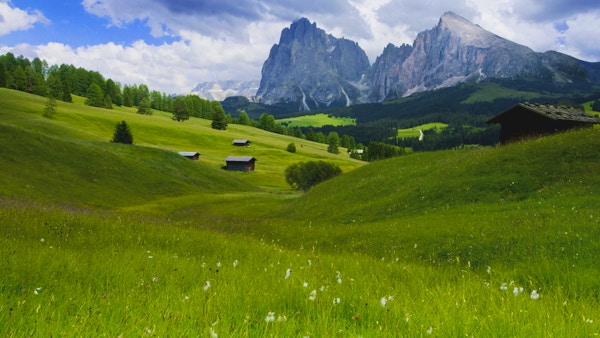 Alpe di Siusi, i bakgrunnen Sasso Platto og Sassolungo. Landemerker for Dolomittene. (UNESCO - verdens naturarv i Sør-Tirol, Italia).