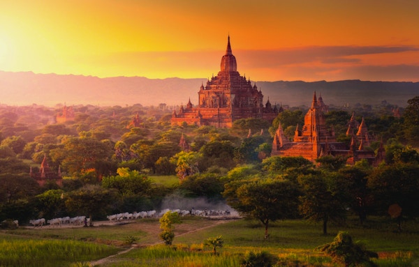 Pagodelandskap på sletten Bagan, Myanmar (Burma)
