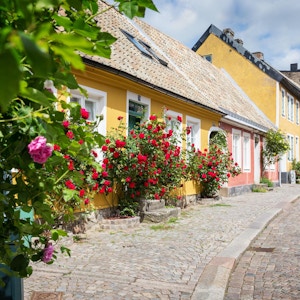 Brosteinsbelagt gate kantet med pastellfargede hus i gult og rosa med blomstrende klatreroser
