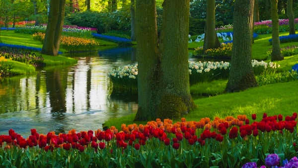 "Parker med flerfargede vårblomster langs et tjern. Plasseringen er Keukenhof-hagen, Nederland. Andre tulipanbilder:"