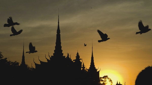 Solnedgangsutsikt over det kongelige palasset i Phnom Penh i Kambodsja med flygende fugler.