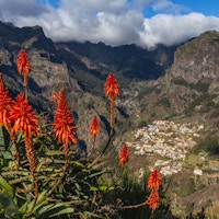 Topp utsikt over en fjellandsby Curral das Freiras med røde blomster på forgrunnen, Madeira