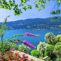 vakre blomsterhager i Lago Maggiore