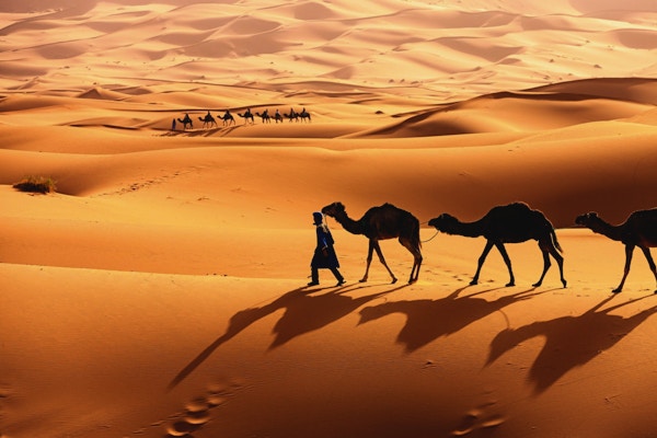 Gylne sanddyner og kameler med førere.