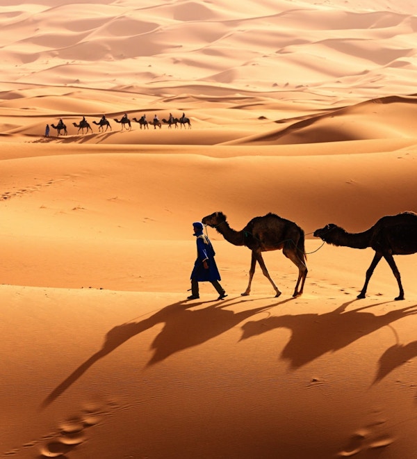 Gylne sanddyner og kameler med førere.