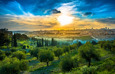 Utsikt over Gamlebyen Jerusalem fra Oljeberget med oliventrær i forgrunnen