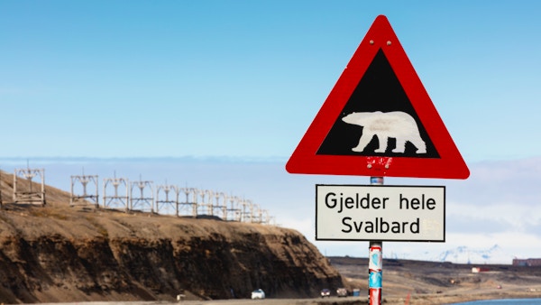 Varseltegn som indikerer at isbjørnadvarsel gjelder over hele Svalbard.