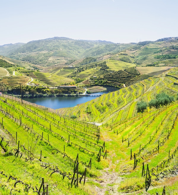 Vingårder og landskap rundt Douro-elven, Portugal