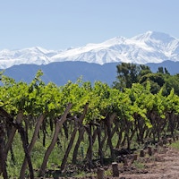 Nydelige rammer rundt vingårdene i Mendoza.