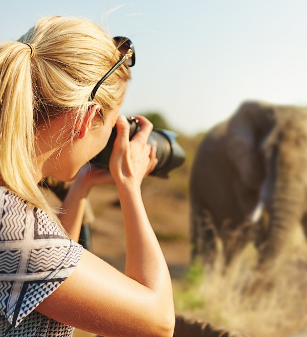 Et beskåret fotografi av en kvinnelig turist som tar bilder av elefanter mens hun er på safari