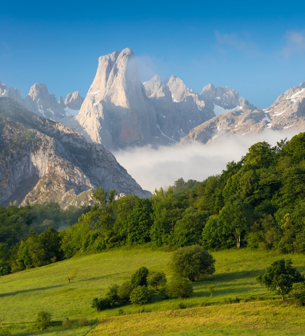 Picos de Europa er en fjellkjede som strekker seg rundt 20 km og utgjør en del av Cantabrian-fjellene i Nord-Spania. Utvalget er lokalisert i Asturias, Cantabria og Castilla og LeÃ³n.