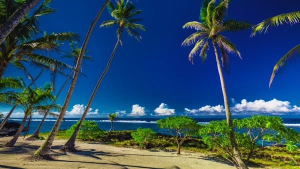 Tropisk strand og hav på øya Samoa med palmer sent på ettermiddagen