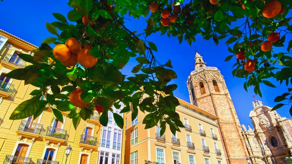 Appelsintrær i forgrunnen og klassiske bygninger i bakgrunnen.