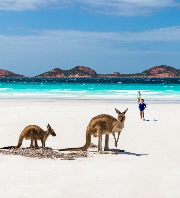 To kenguruer på en strand, men to barn løpende i bakgrunnen