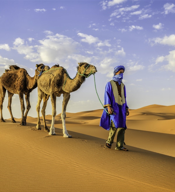 Tuareg med kameler i den vestlige delen av Sahara-ørkenen i Marokko. Sahara-ørkenen er verdens største varme ørken.
