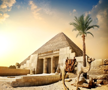 Kamel nær pyramide og søyler med statuer