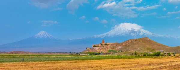 Druefelt i Araratdalen. Utsikt over Khor Virap og Mount Ararat