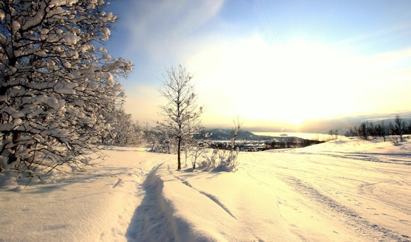 Snødekte trær i norsk fjellskråning med varm solnedgang.