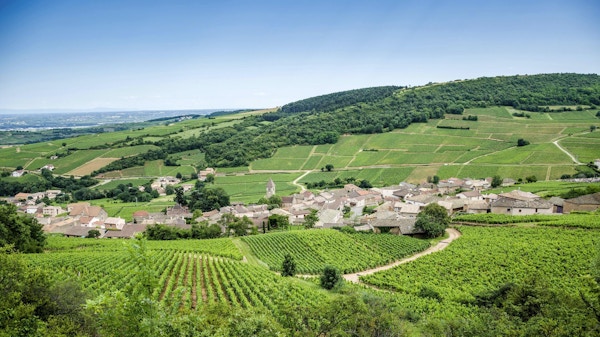 Den gamle landsbyen Solutre-Pouilly med vingårder, Burgund, Frankrike