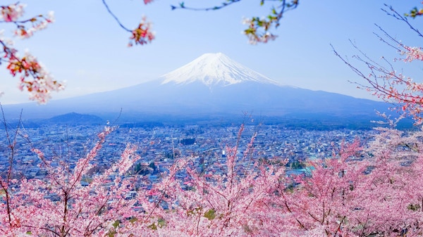 Mt. Fuji With Cherry Blossom (Sakura) om våren, Fujiyoshida, JapanMt Fuji and Cherry Blossom in Japan Spring Season (Japanese Call Sakura) Selective Focus