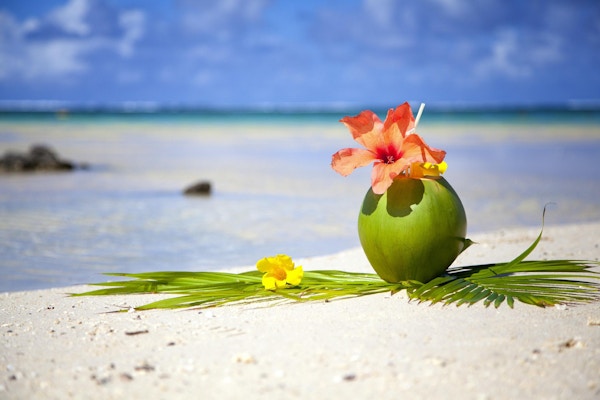 En grønn kokosnøtt og en rvakker, rød blomst på en strand