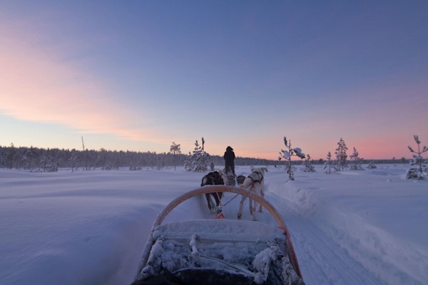 Hundesledetur på Finnmarksvidda