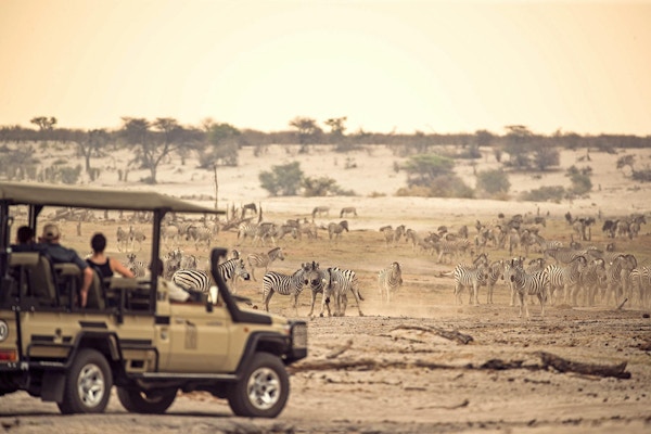 Safarijeep med folk som ser på en stor sebraflokk.