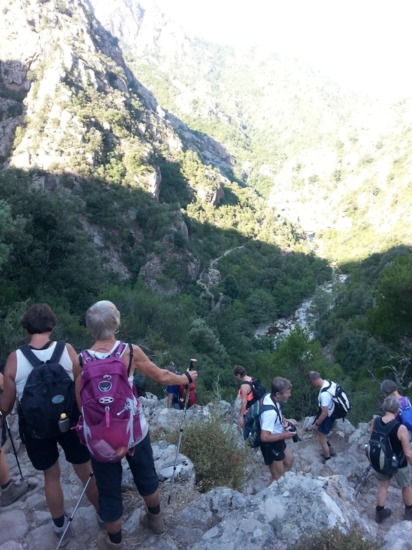 Turgruppe på vei ned bratt bakke i en dal.