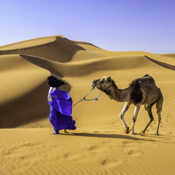 Tuareg med kamel i den vestlige delen av Sahara-ørkenen i Marokko. Sahara-ørkenen er verdens største varme ørken.