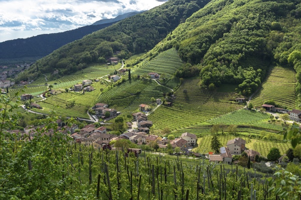 Hills of Valdobbiadene