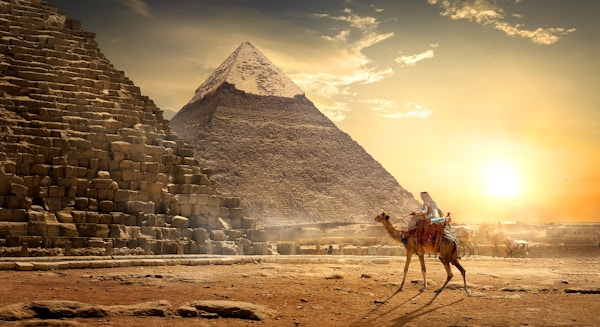 Nomad på kamel nær pyramider i egyptisk ørken