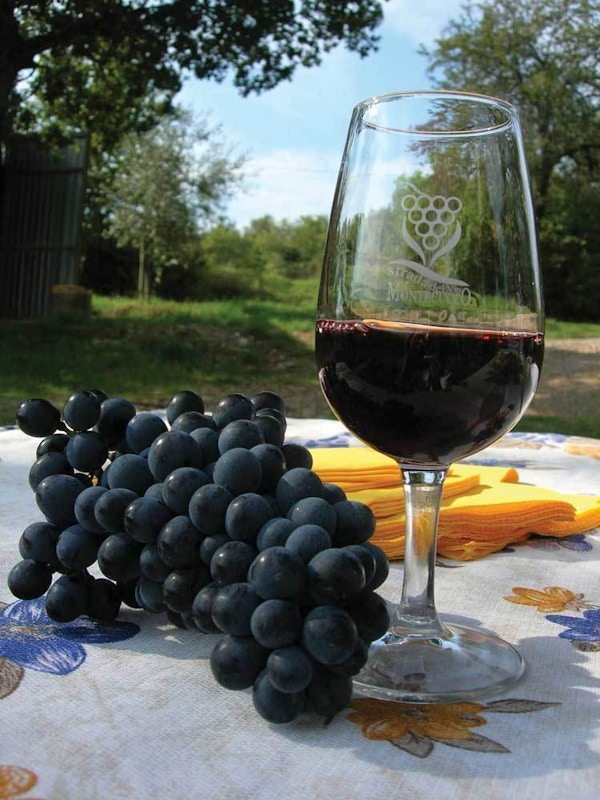Glass med vin med druer på et bord, Italia.