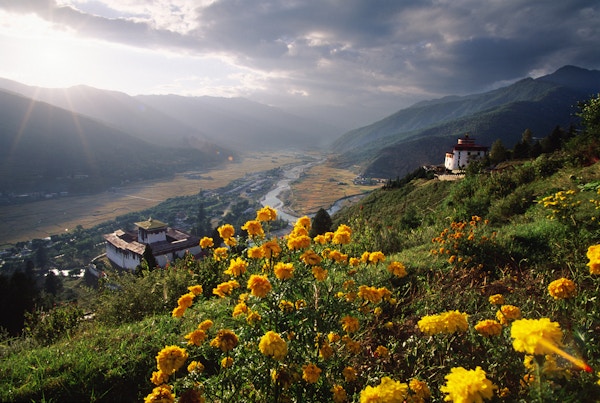 Utsikt mot det himalayiske kongedømmet Bhutan og vakre blomster i Parodalen