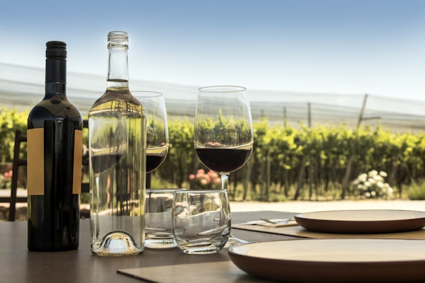 Vinsmaking utendørs blant vingårder